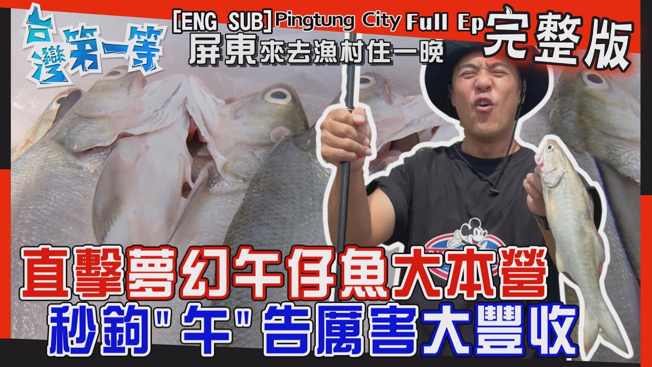 [全新] Pingtung【天才釣手 秒上鉤