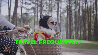 Travelling a lot? Use CrowdVoice app to call and message for free, anywhere in the world! screenshot 3