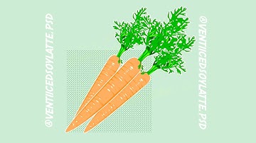 Minimalist Cartoon Carrot from Photo - Time lapse Photoshop Art