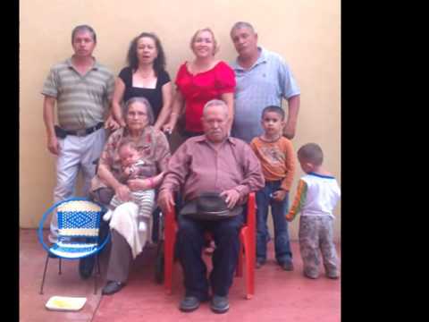 ALSee Picture Movie 2014