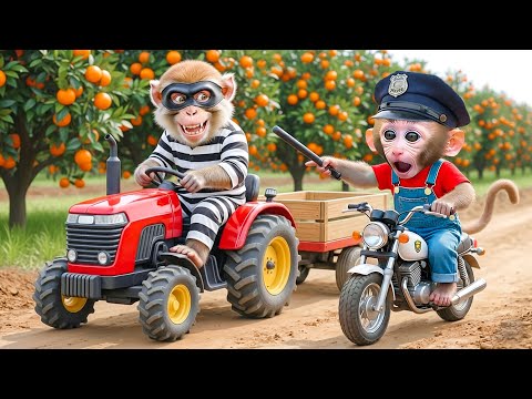 MACAQUINHO NANA colhe laranjas e enfrenta um ladrão de trator astuto – Nana Em Português