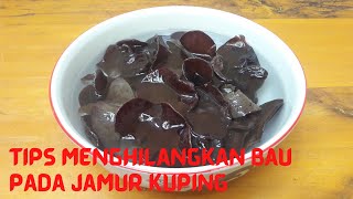 PANEN JAMUR (mushroom harvest), senangnya hatiku dapat rezeki tak terduga