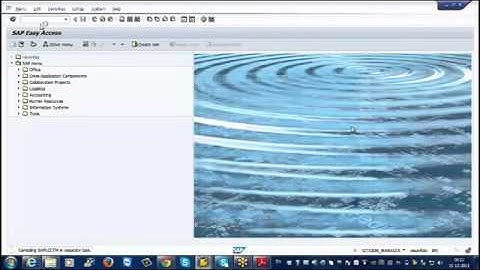 SAP CRM Online Training Video Class SAP CRM Tutorials   Monster Trainings