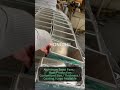 Aluminum Toast Pans | Factory Production Line