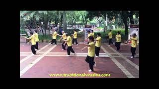 Yang Style Tai Chi 13 Movement Beginner Form 2