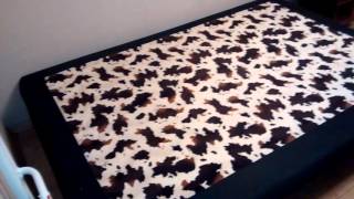 VID 20160223 181313994