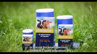 Tateetra & Rathmore Farms: Beefing Up Animal Health with the New Doramax Injection