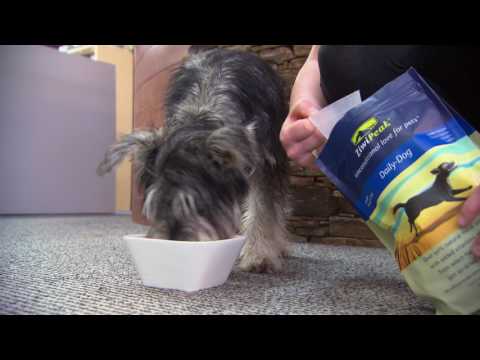 Wideo: Resztki przepis na psa z indyka