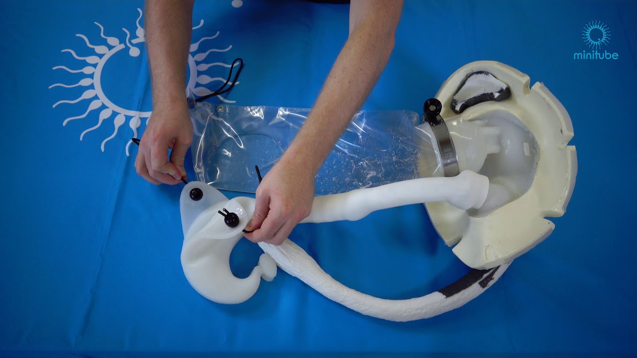 How to set up, use and clean Henryetta