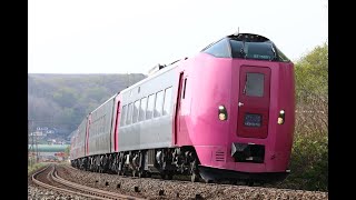 8021D臨時北斗91号「はまなす編成」