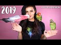 A Look Back At 2019: A Fun Year of Parrot Stories, Rescues & Surprises!