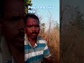 Penu Pana Gini Dina