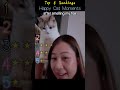 Happy Cat Moments #funnycats #animals #catlife #cats #cute #funnyvideo #happy #kitten #joyful #pets