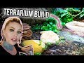 MY PIXIE FROG TERRARIUM BUILD!!! | KristenLeannimal