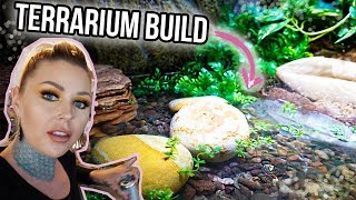 MY PIXIE FROG TERRARIUM BUILD!!! | KristenLeannimal