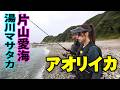 片山愛海が秋の数釣りシーズンを満喫!和歌山県でアオリイカを狙う 『とことんエギパラダイス 138』【釣りビジョン】