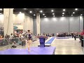 JRD Kayta Sander, Perfection | L10 Vault 2018 JO Nationals
