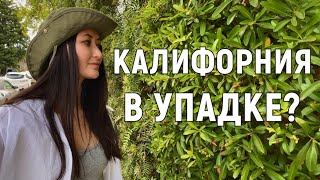 Калифорния умирает? Почему Кремниевая Долина теряет своих миллионеров