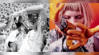 bjork/aurora - it's not up to you/all is soft inside (mashup) screenshot 5