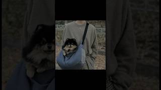 Download Lagu Goodbyes are not Forever✨🍂 | | #bts #yeontan #Bam #shorts #youtubeshorts MP3 Download Lagu Goodbyes are not Forever✨🍂 | | #bts #yeontan #Bam #shorts #youtubeshorts MP3
