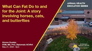 What Can Fat Do to and for the Joint: A story involving horses, cats, and butterflies