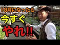 【10月の園芸作業】今すぐやること・まだ待つことを全て教えます　　　　【園芸超人カーメン君】【ガーデニング】【初心者】