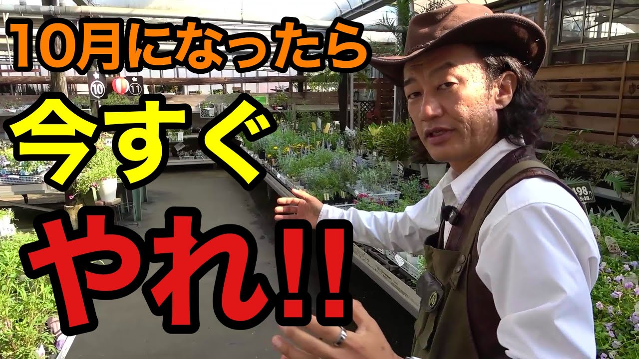 【10月の園芸作業】今すぐやること・まだ待つことを全て教えます　　　　【園芸超人カーメン君】【ガーデニング】【初心者】