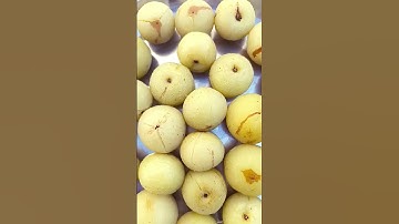 Boil amla #shorts#shortsvideo