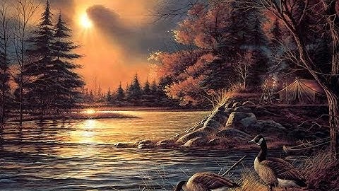 قصة سليمان || أروع وأجمل تلاوة للقارئ جمال بن سالم وفقه الله