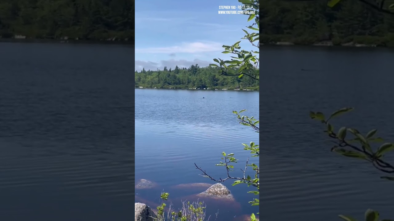 【哈法生活】：Weekend Hiking -- Pot Lake Loop, Halifax, NS 2023-07-08