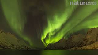 Timelapse of the Aurora Borealis over a fjord, Troms, Norway, March 2016