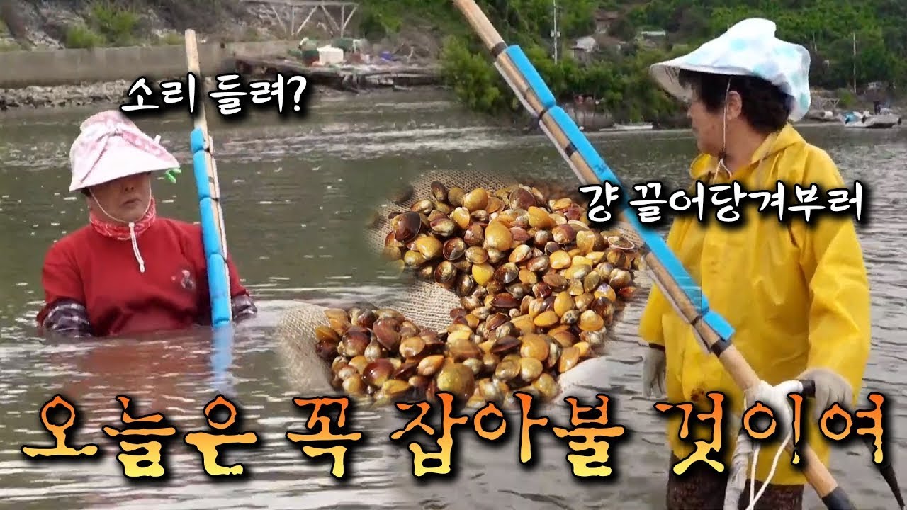 (전설은 아니고 레전드) 재첩 할매즈의 오지는 티키타카_★ KBS 20200930 방송