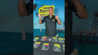 Tips On Deep Drop Fishing