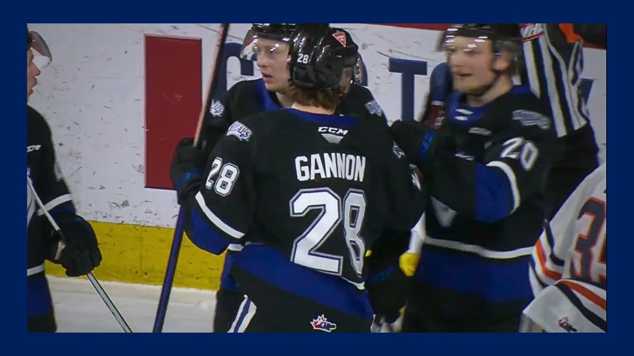 Riley Gannon | VIC Royals | All (18) WHL Goals from 2022-23