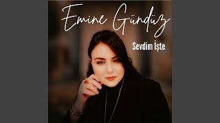 Sevdim İşte