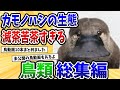 【総集編】2ch動物スレ鳥類動画10本まとめてみた!未公開動画もあるよ!【2ch動物スレ】【作業用】