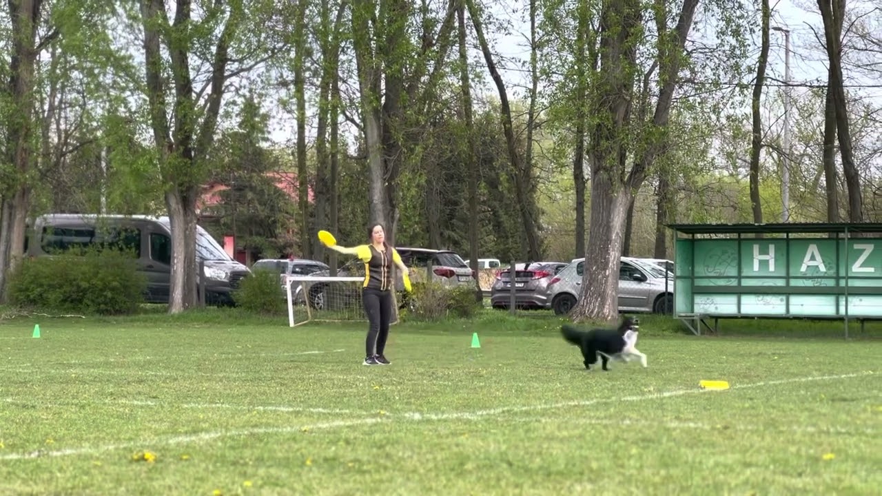 Julia & Effect | Super Open Freestyle | USDDN Hungarian Qualifier 2023