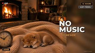 [ASMR] 12-HOUR LIVE 🔥 Momo's Cozy Fireside | NO MUSIC Fireplace Crackle Sleep screenshot 5