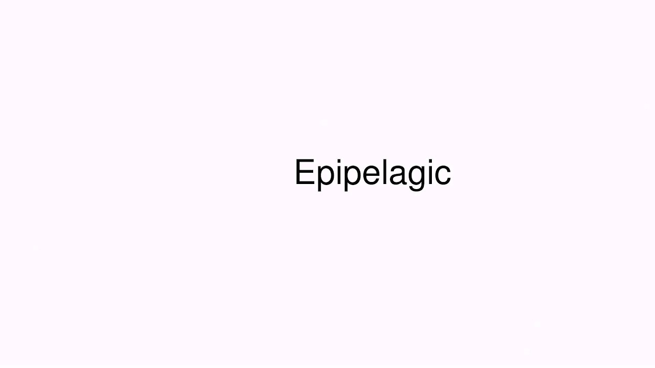 How to pronounce Epipelagic
