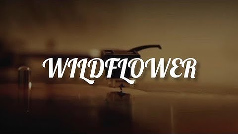 Thumbnail of WILDFLOWER SONG | Lyrics | Billie Eilish |Mikey Music