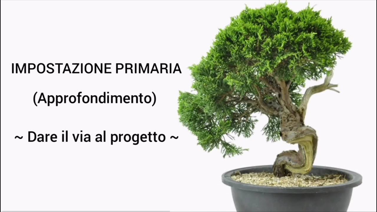 IMPOSTAZIONE BONSAI (approfondimento) DAR IL VIA AL PROGETTO YouTube