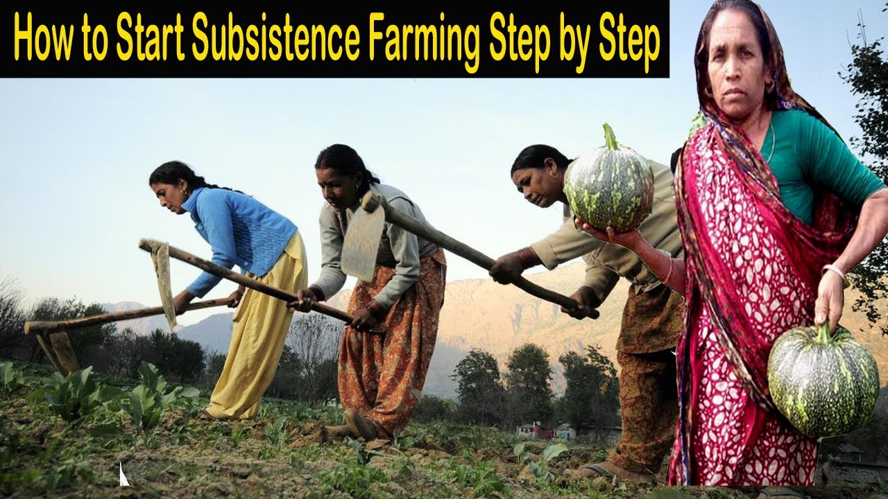 assignment of subsistence farming