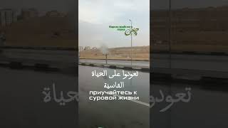 Онлайн марказ арабского языка Misr #арабскийязык #учиарабский #египет