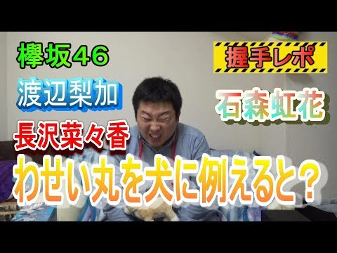 【欅坂46】『風に吹かれても』個別握手会11/19inパシフィコ横浜～渡辺梨加と長沢菜々香と石森虹花握手レポ～