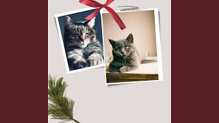Understated Ambiance for Happy Cats