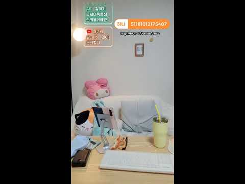 심야토크  드르와