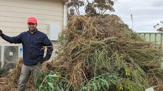 Restoring 50 m² Garden