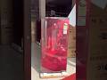 #lgrefrigerators #unboxing #youtubeshort #lgfridge #shortvideo #homeappliances #refrigerator #fridge