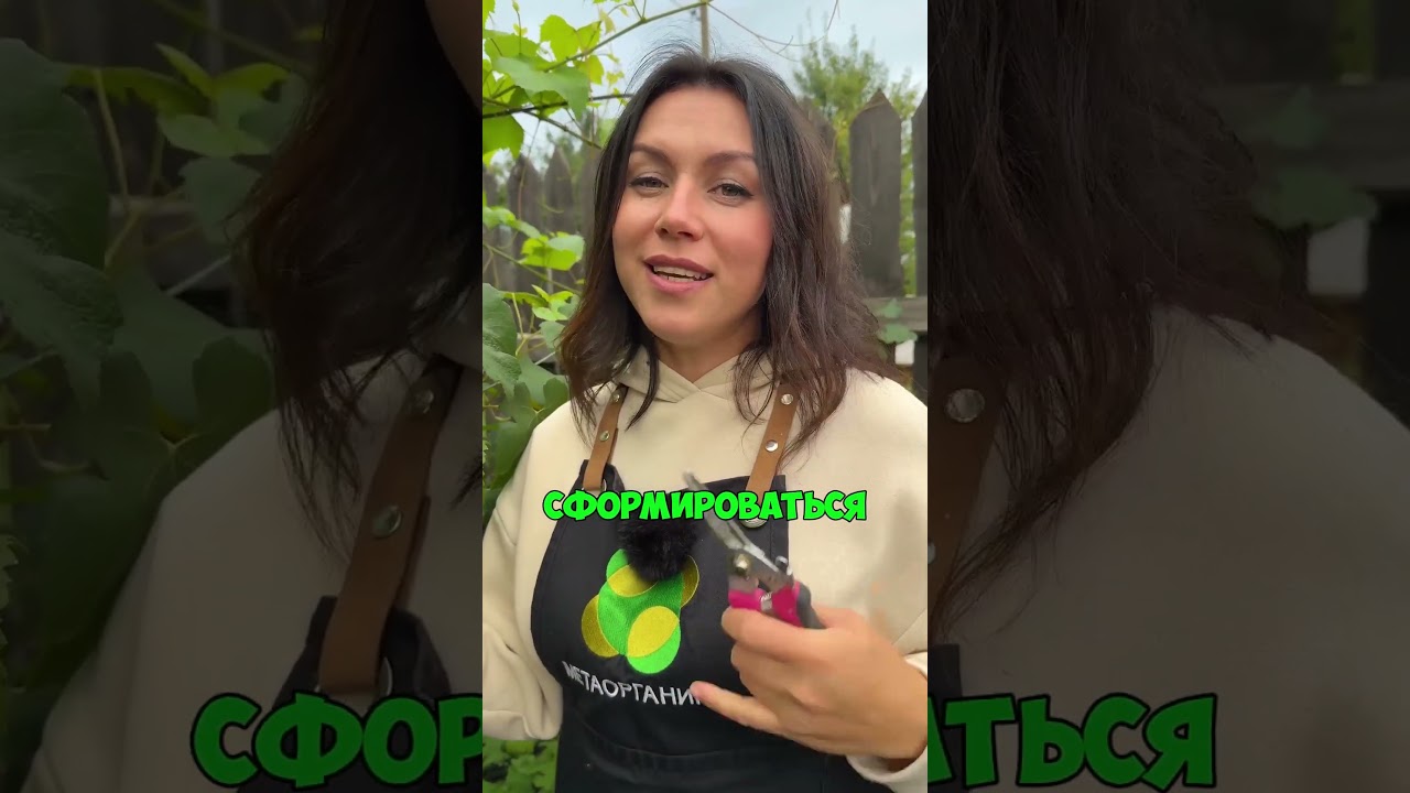 Что нельзя обрезать в августе на даче?