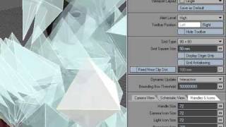 Bone Display Tutorial in New